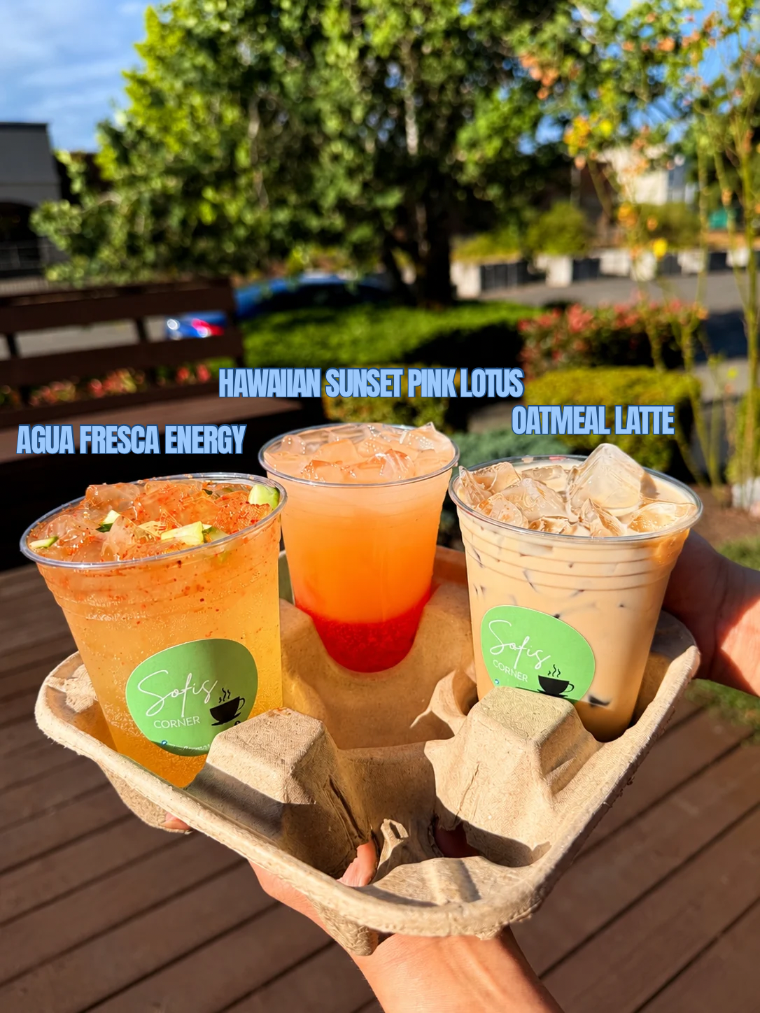 Oatmeal Latte — August special at Sofi's Corner Cafe