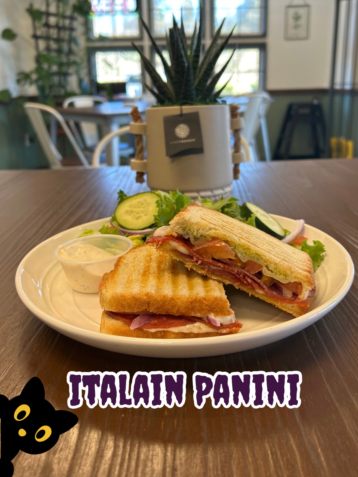 Italian Panini — October special at Sofi's Corner Cafe